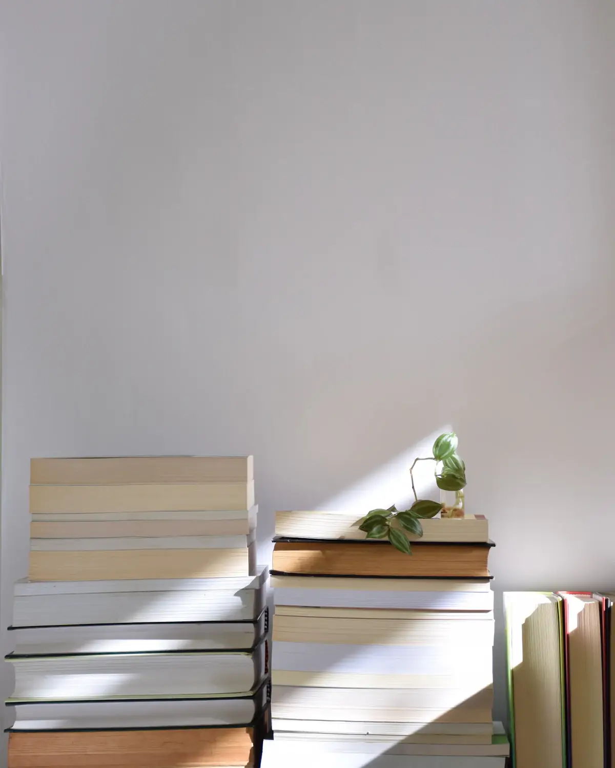 Stacks of books in soft window light
